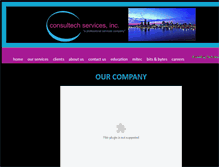 Tablet Screenshot of consultechservicesinc.com